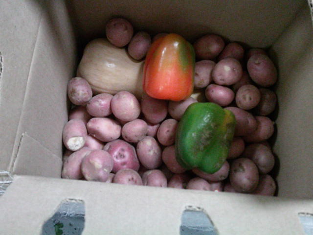 Two bellpeppers, butternut squash, and red potatoes in a cardboard box.